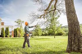 Best Weed Control  in Rapids, NY